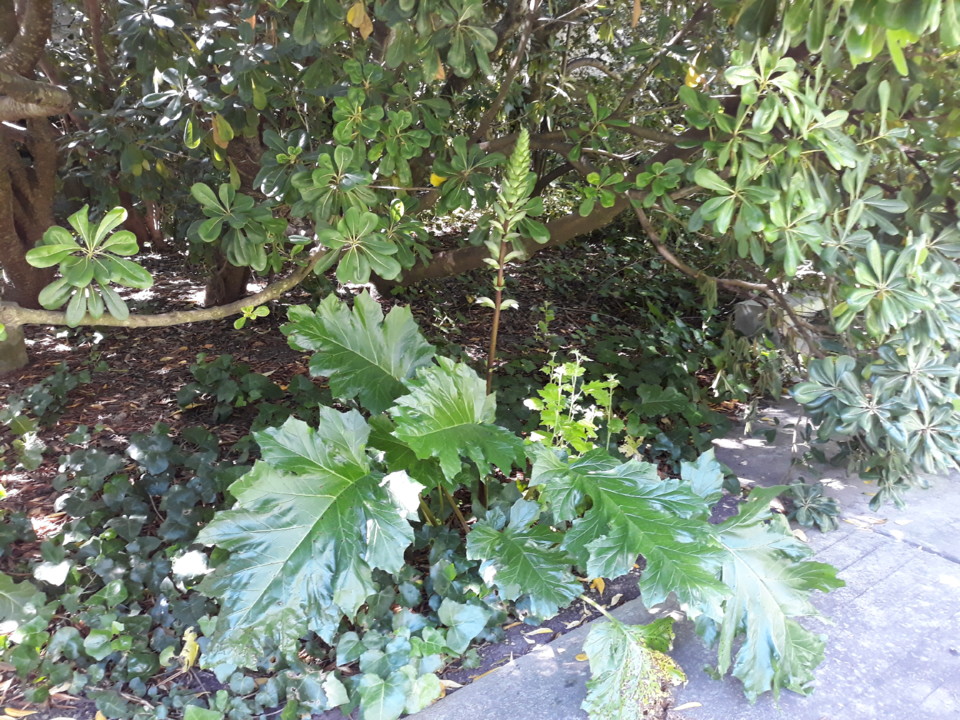 20200524_104318.jpg 20200524_104318.jpg