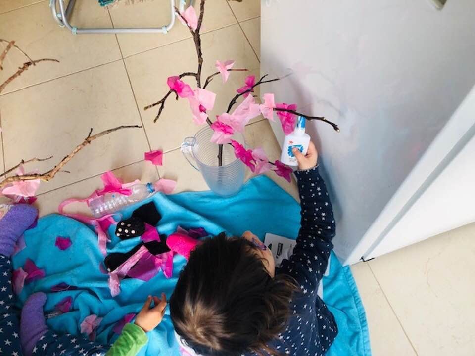 56161616_2362023790484211_5500998493583441920_n (1 56161616_2362023790484211_5500998493583441920_n (1