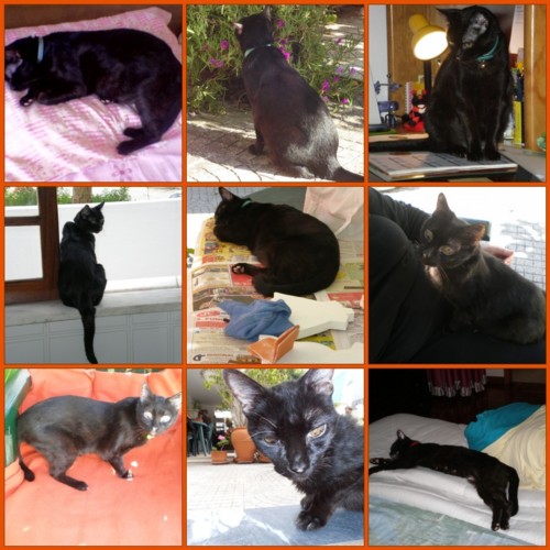 6327838818_b51ee95cb1_o.jpg 6327838818_b51ee95cb1_o.jpg