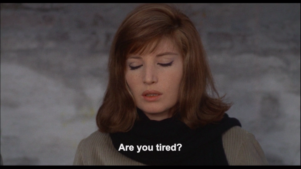 tumblr_338fd3062dc52ca76c1c9026d9d8127a_01843f51_1