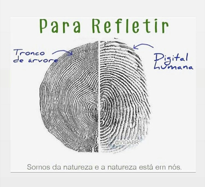 102881745_2656846264556210_6007307557608611614_n.p