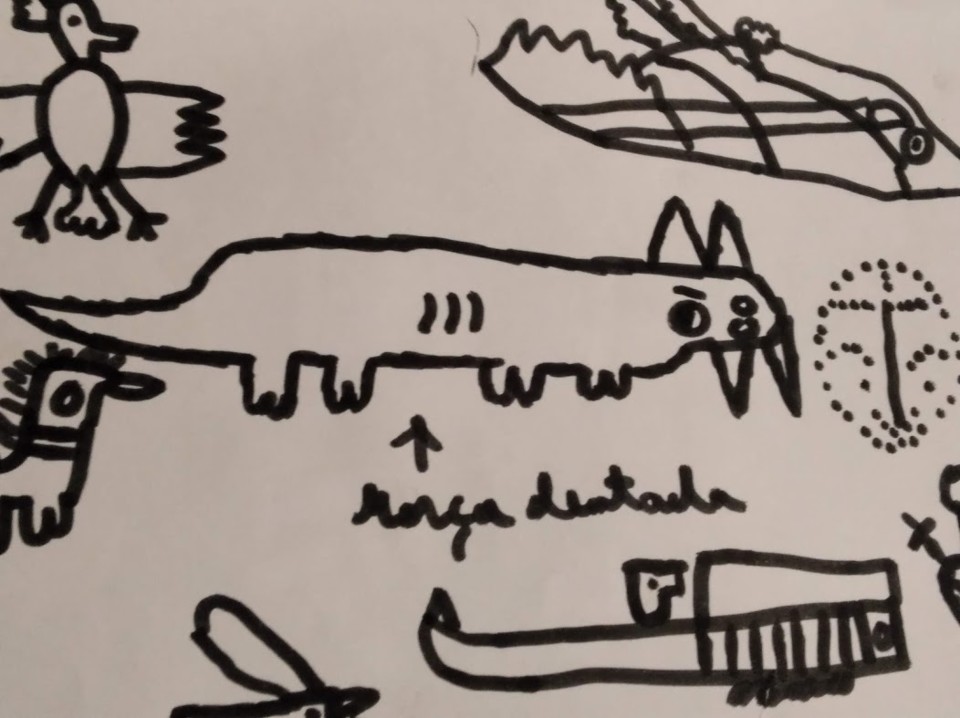 não_me_canso_disto_desenho_afonso.jpg não_me_canso_disto_desenho_afonso.jpg