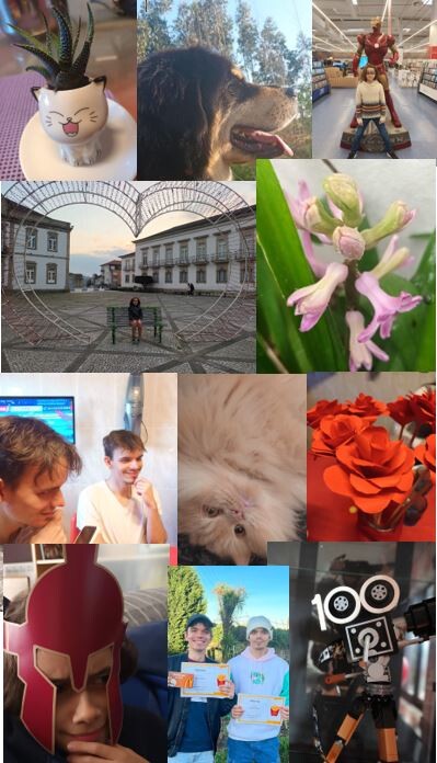 Não me canso disto Fevereiro.JPG