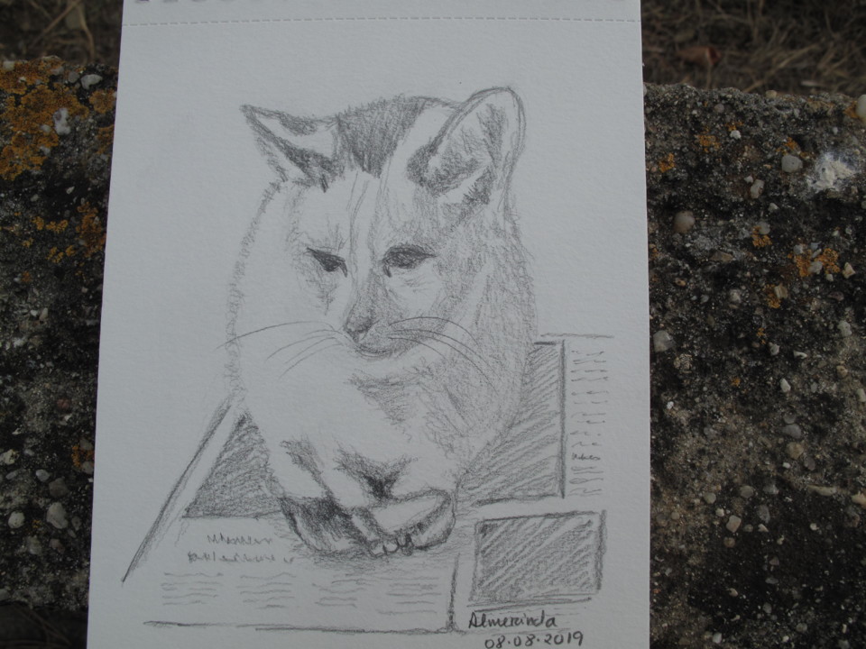 IMG_7033.JPG IMG_7033.JPG