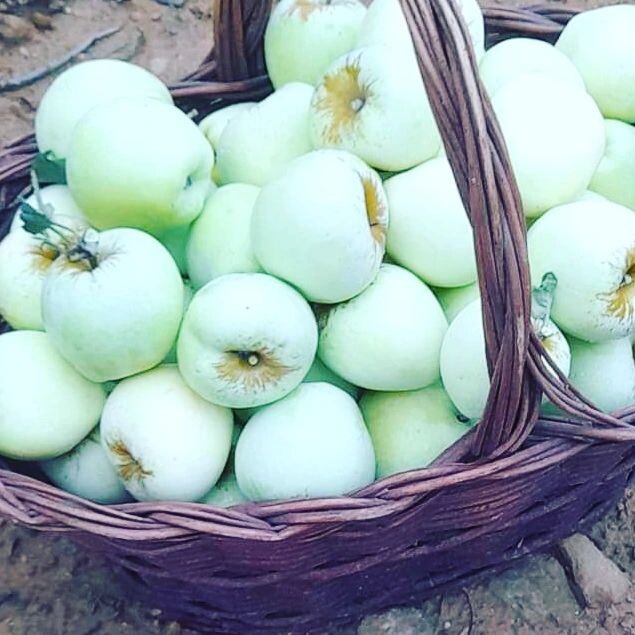 313031139_2449166728556407_8973620009428877785_n.j