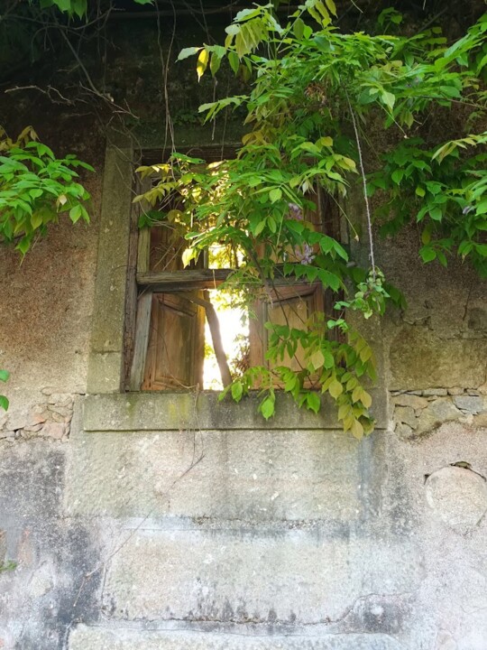 Não me canso disto janela.jpg