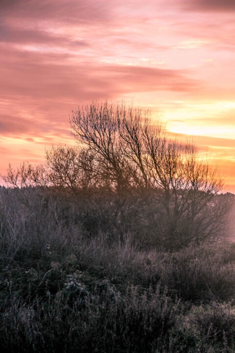 lagoa de obidos 9.jpg