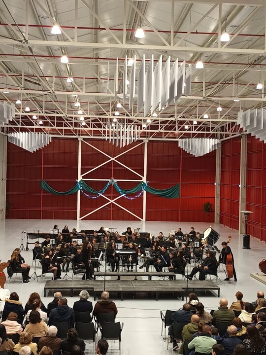 Não me canso disto orquestra.jpg