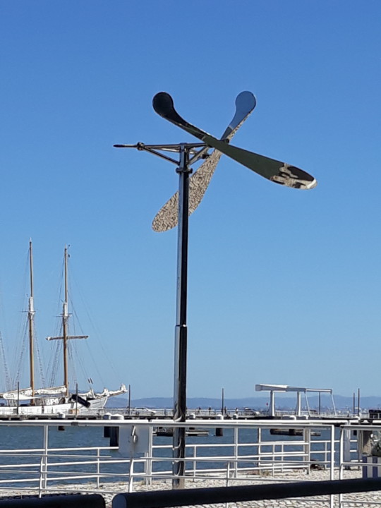 20200802_155928.jpg 20200802_155928.jpg