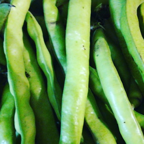 27972455_1044817845657976_2503453547883577887_n.jp 27972455_1044817845657976_2503453547883577887_n.jp