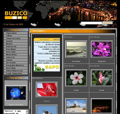 BUZICO - MADEIRA