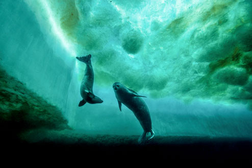 18112015-_DSC2704-51.jpg 18112015-_DSC2704-51.jpg