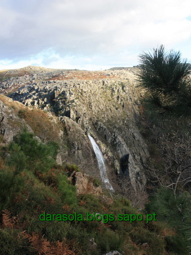 Biodiversidade_Freita_22.JPG Biodiversidade_Freita_22.JPG