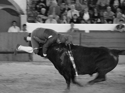 tomar_7701.JPG tomar_7701.JPG