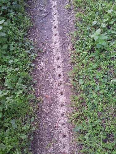 Foto original de D.A.P.L. 2014 .jpg Foto original de D.A.P.L. 2014 .jpg