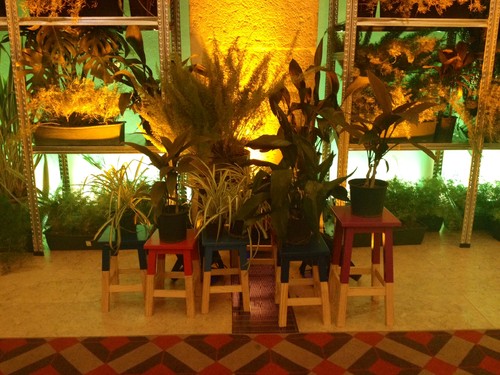 fotografia 1 (8).JPG fotografia 1 (8).JPG