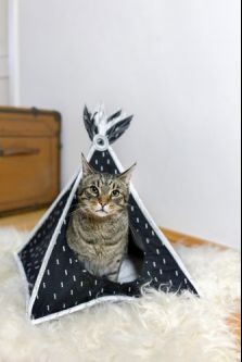 transferir.jpg transferir.jpg