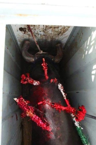 37411825_1854408887955347_7038647942906904576_n.jp