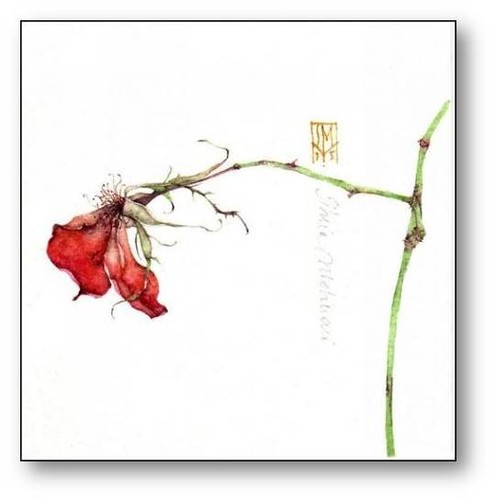 silvia molinari,2a.jpg