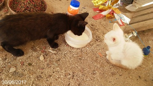 apretoebranco.jpg apretoebranco.jpg