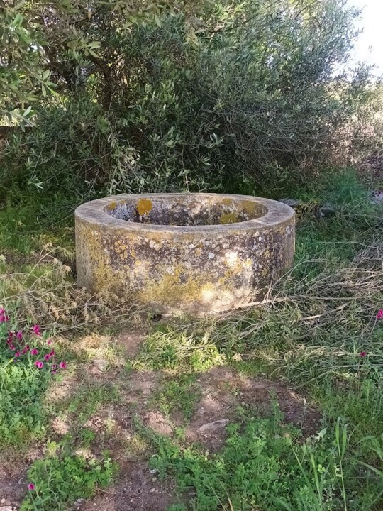 Não me canso disto Azaruja1.jpg