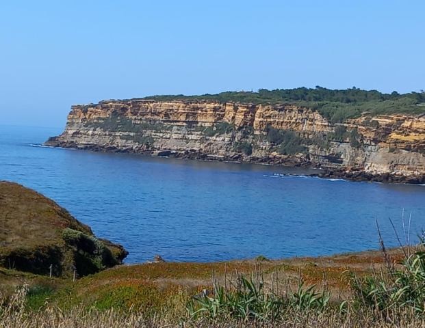 210524712_527902441788745_8745905783966504099_n.jp