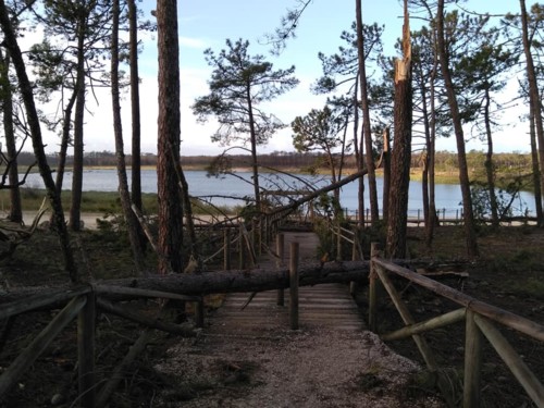 44227047_2033012213477994_5880017116798648320_n[1]