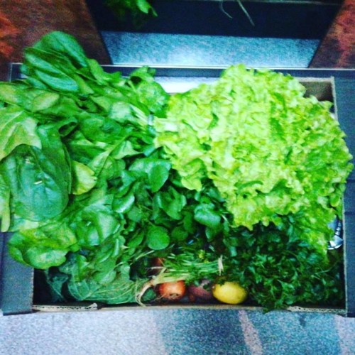 50018903_1047051228829642_4455149497168691200_n.jp