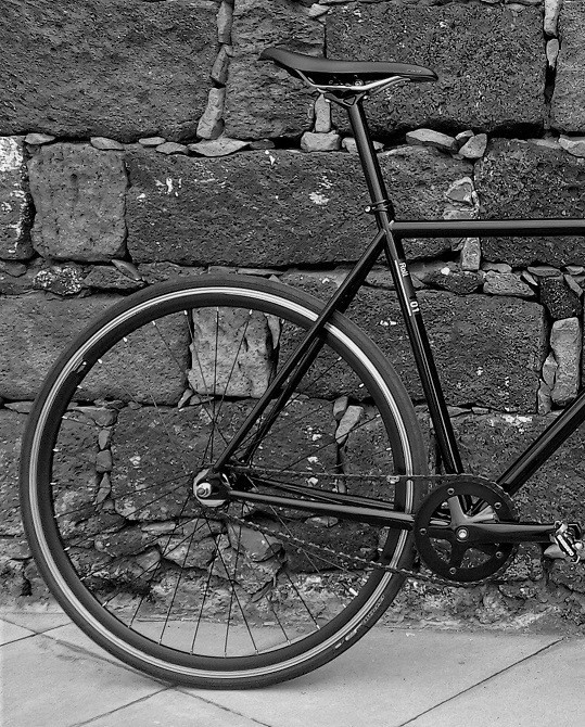 roll1_II.jpg roll1_II.jpg