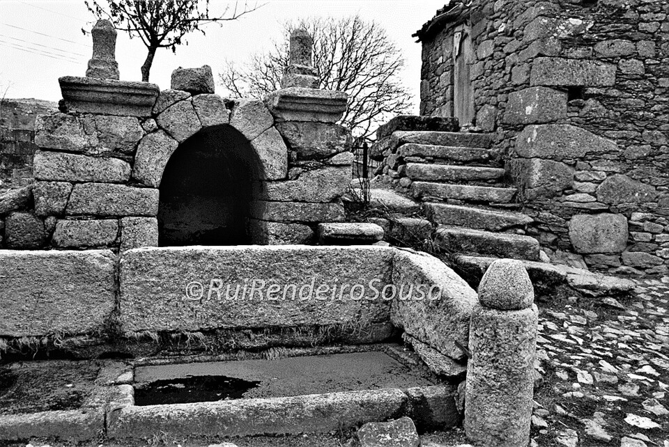 Rui Rendeiro de Sousa 01.jpg