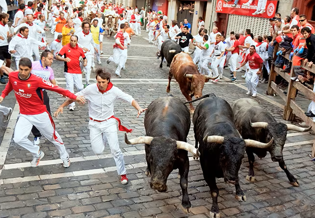 Pamplona.2024.png
