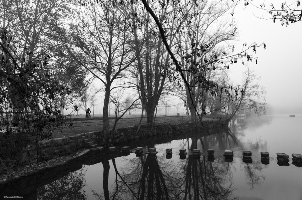 FER.RIBEIRO_PORTUGAL.jpeg FER.RIBEIRO_PORTUGAL.jpeg