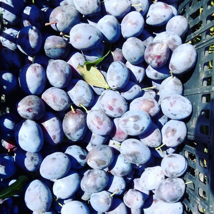 543790656_18498765679066958_7133419958893720451_n.