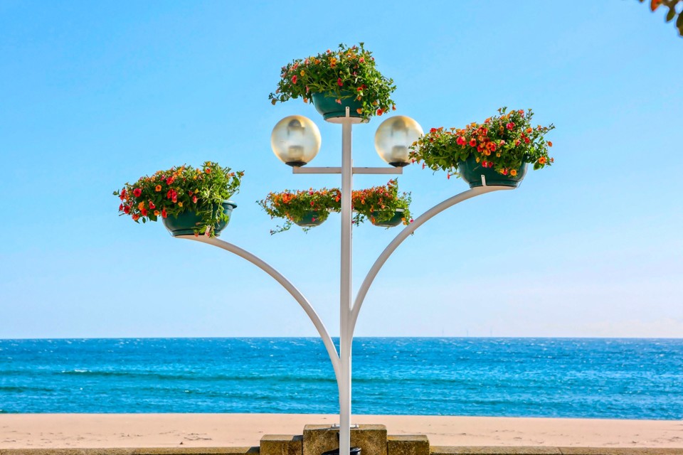 180132969_3871608279560339_2158767733666382788_n.j