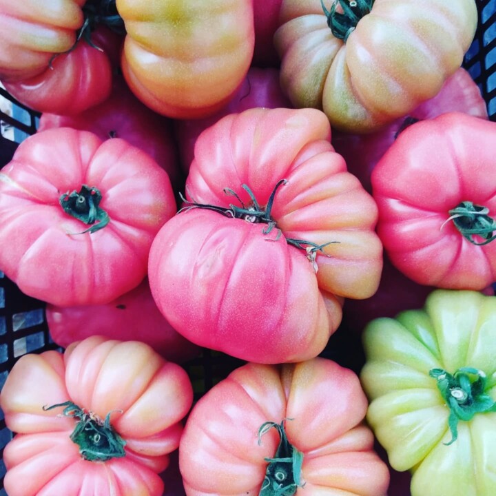 497716694_18478321774066958_1621610706649666624_n.