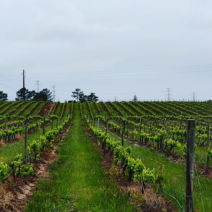 280391028_2305599766246438_8441157668513156139_n.j