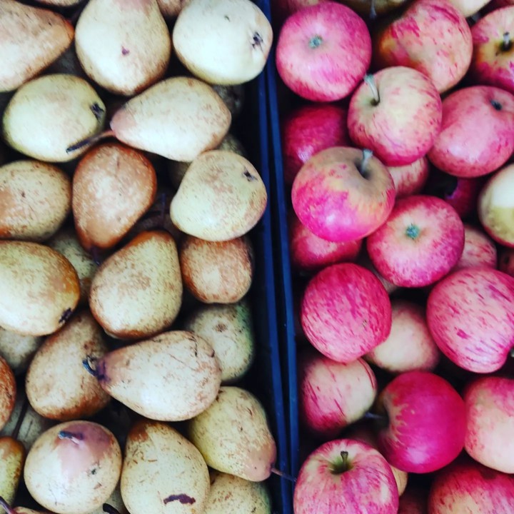 273782856_2236211526518596_7175681608532911639_n.j