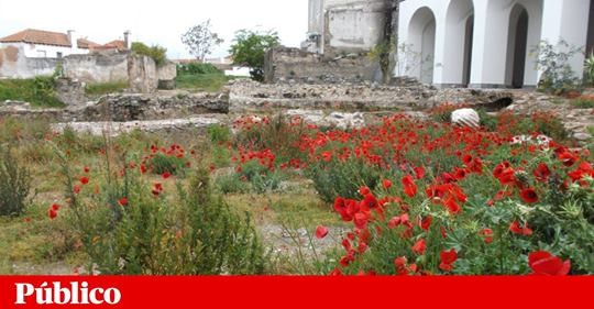 safe_image.jpg safe_image.jpg