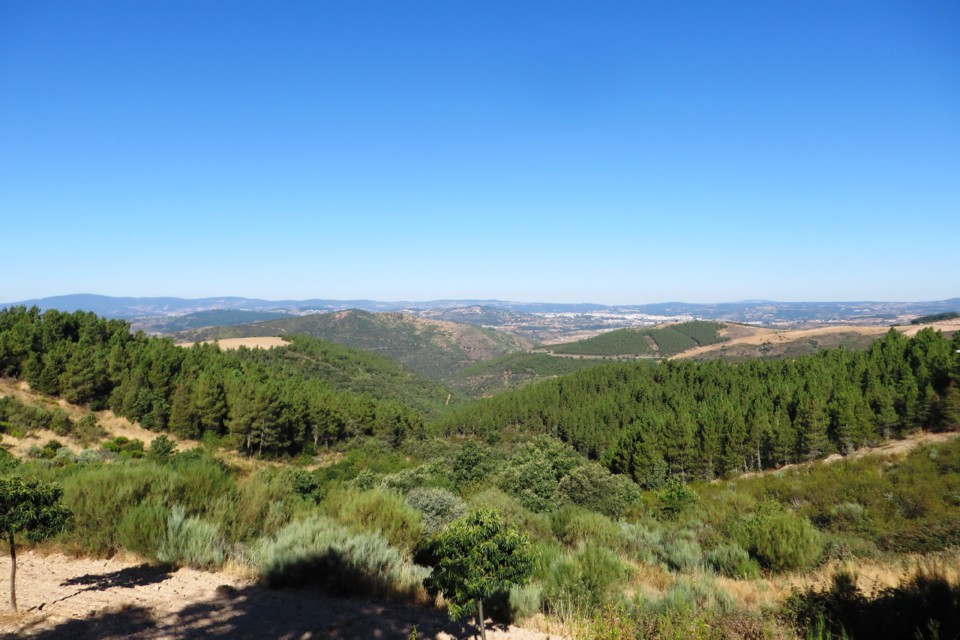 IMG_2780.JPG IMG_2780.JPG