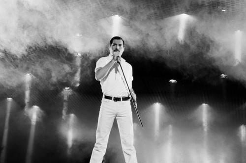 freddie mercury.jpg freddie mercury.jpg
