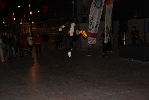IMG_5928 Ano da Cabra 2015