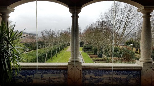 À espera das camélias.jpg