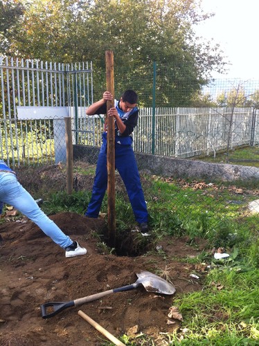 fotografia 4 (1).JPG