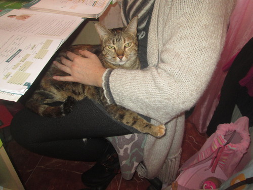 Tica 206.JPG Tica 206.JPG