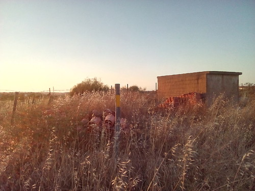 Foto original DAPL 2016.jpg