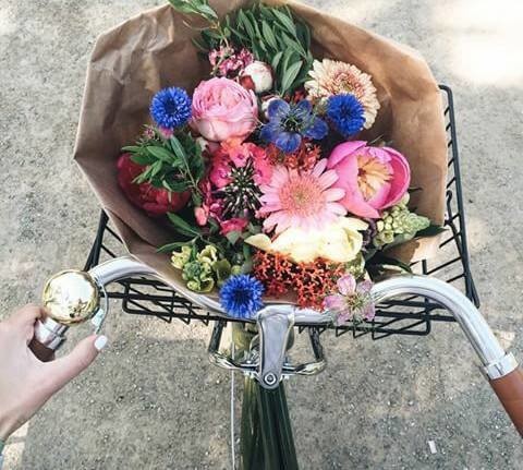 13466481_10204688274686354_7393876031807899043_n.j