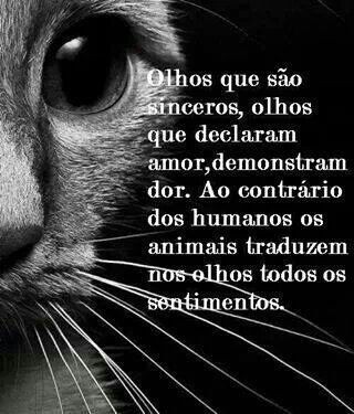 fe1deede28b4cf5823f33a2c945bcff5.jpg fe1deede28b4cf5823f33a2c945bcff5.jpg