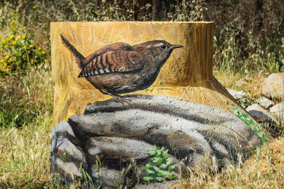 trilho das vinhas-63.jpg