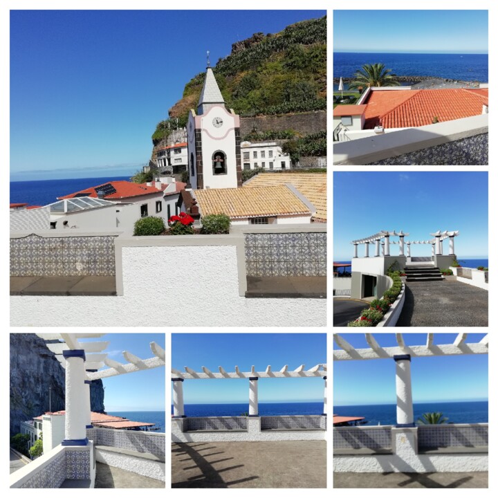 IMG_20220731_111520-COLLAGE (1).jpg