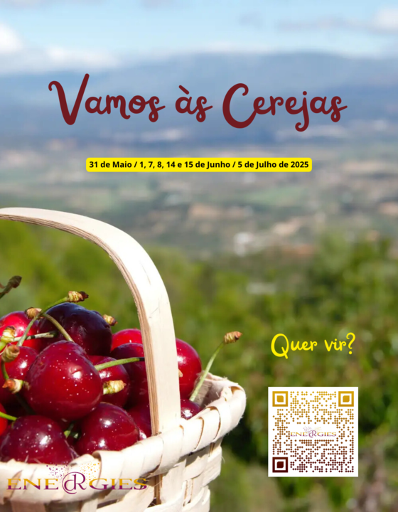 Vamos às Cerejas.png